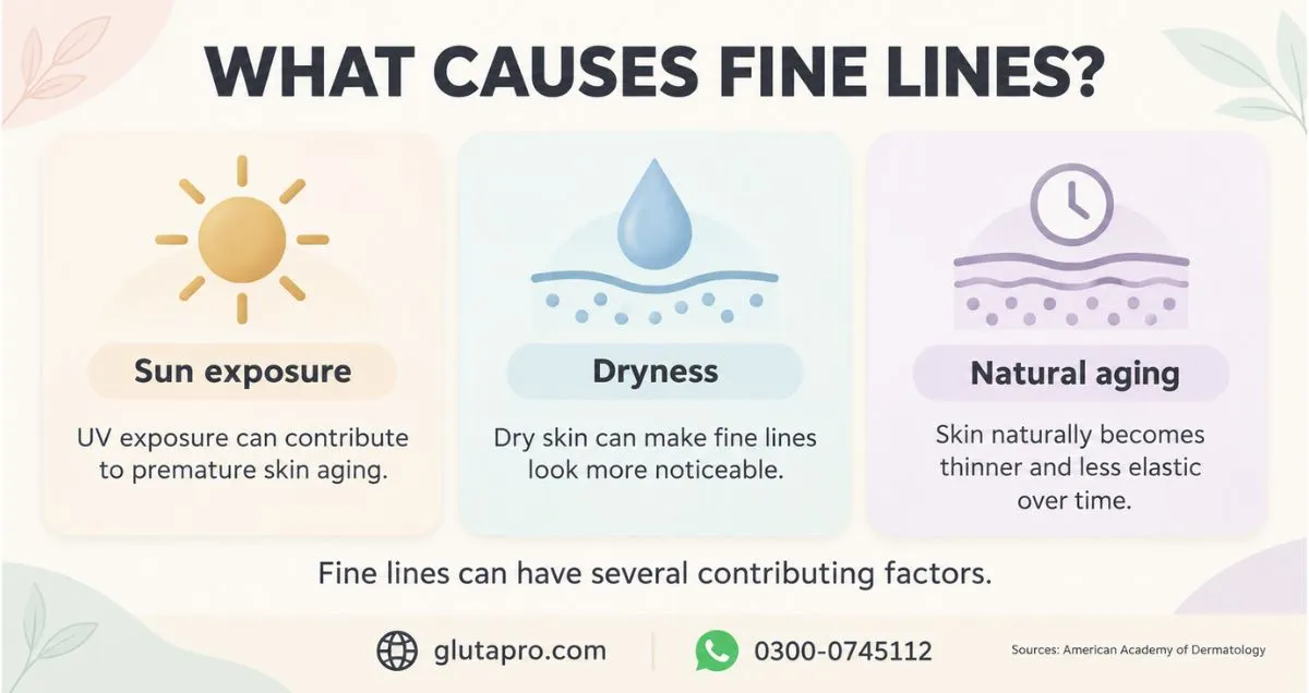 Sun exposure, dryness and natural aging in a fine-line guide